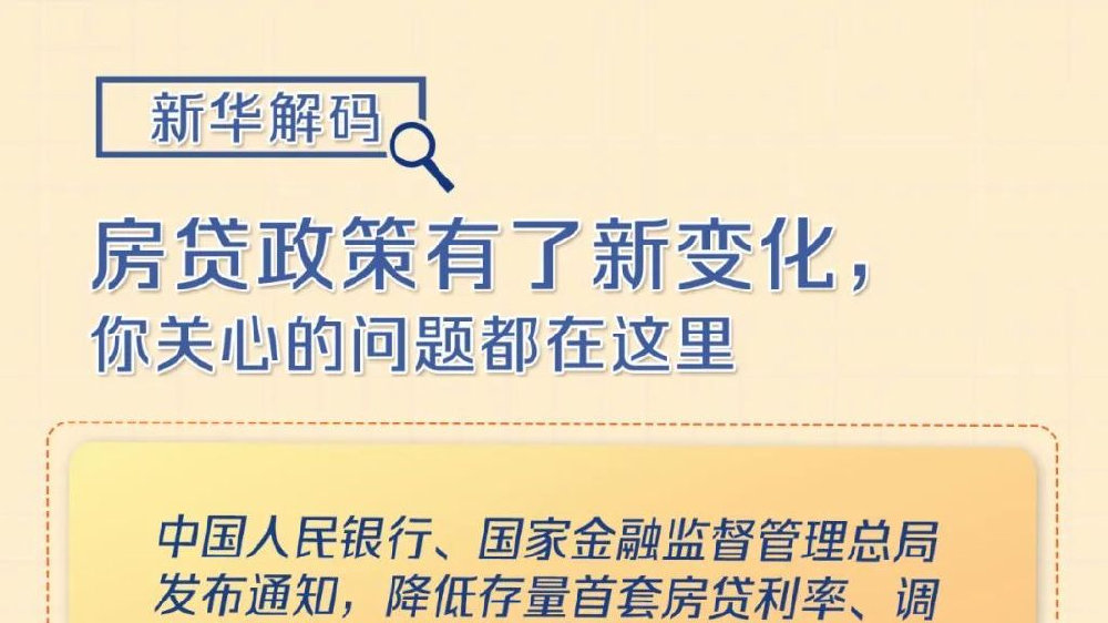 政策新变动，引领未来发展的重要力量，政策新动向，领航未来发展的关键力量