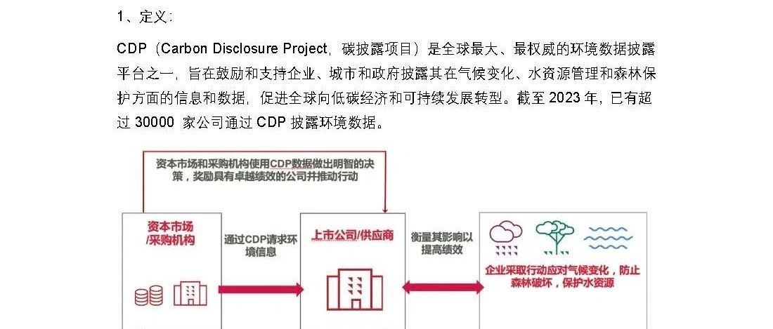 企业碳信息披露标准，推动可持续发展的重要基石，企业碳信息披露标准，推动可持续发展的关键基石