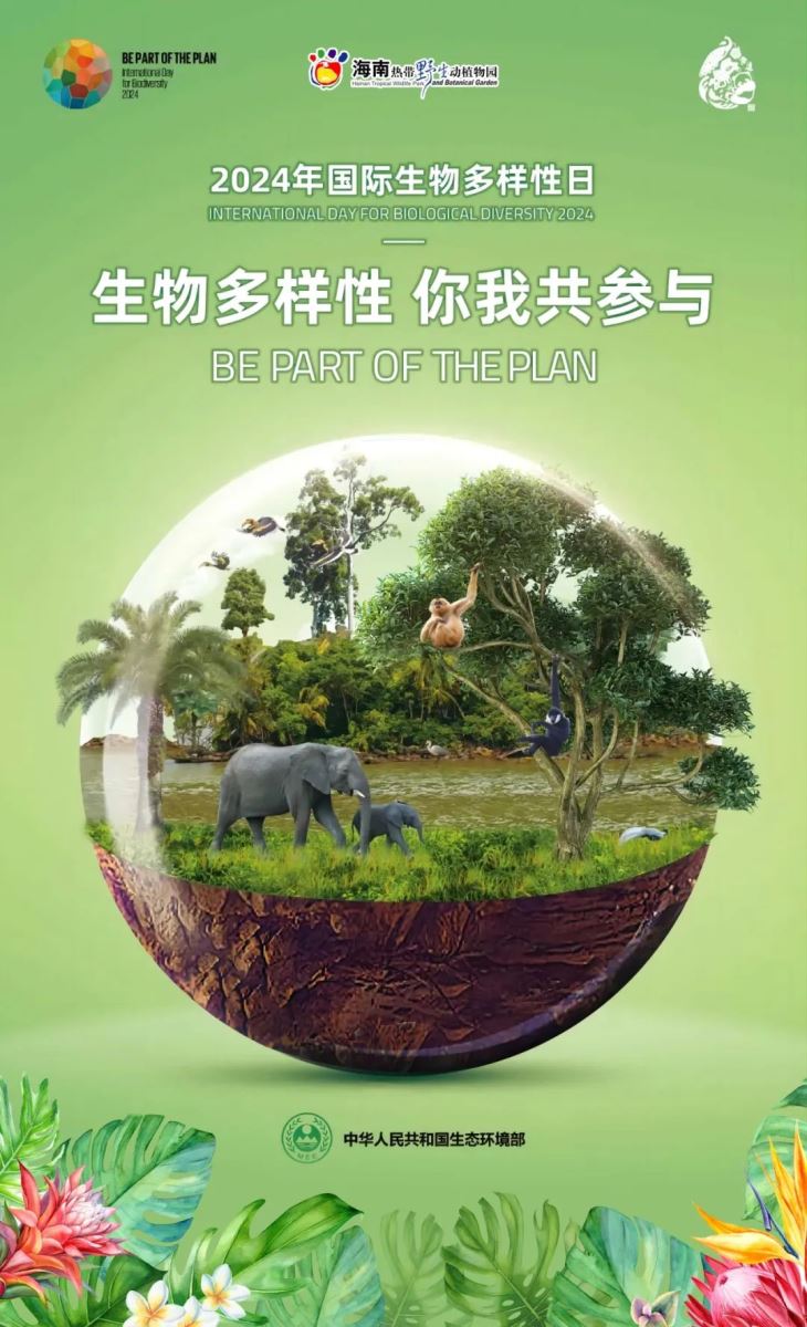 生物多样性保护行动，守护地球生态的多元魅力，生物多样性保护行动，守护地球生态的多元魅力与未来