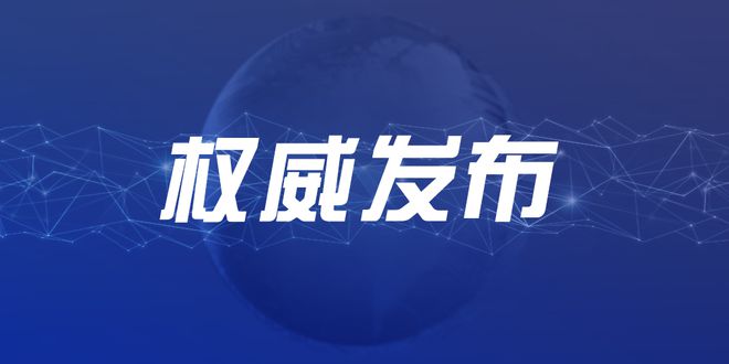 有效防范化解重大风险，构建稳健的社会安全体系，有效防范化解重大风险，构建稳健社会安全体系的重要性