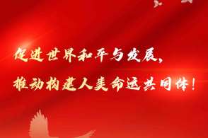 构建人类命运共同体，迈向2024年的共同愿景，迈向2024年，构建人类命运共同体的共同愿景