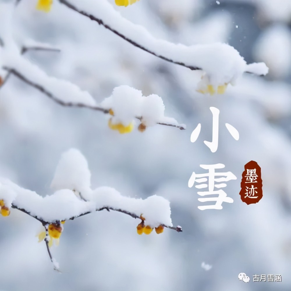 小雪节气，传统与文化交融的韵味