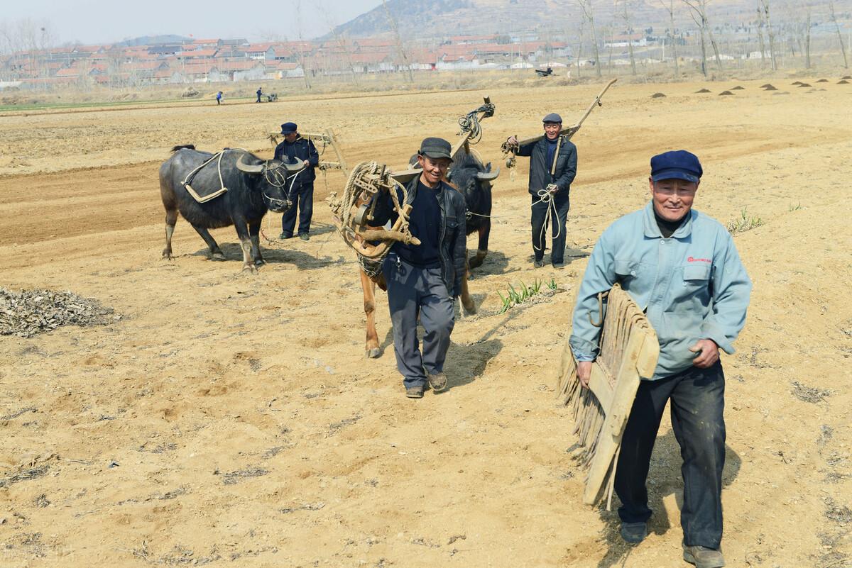 集体土地管理与改革研究，展望、挑战及深入探索