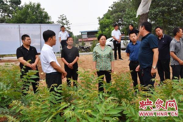 灵宝招商最新动态及策略展望简报