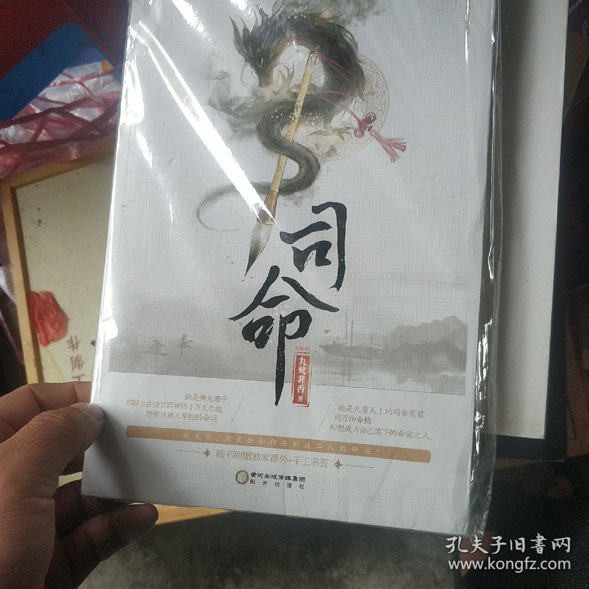 司命最新番外，命运转折与重逢奇迹之夜