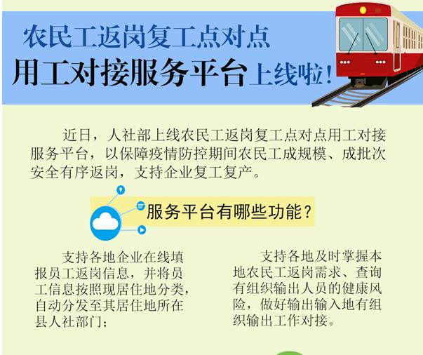 最新返岗信息深度解读与应用分析概览