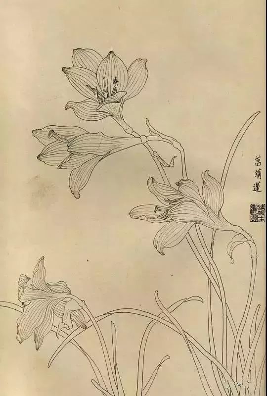 领略艺术风采，最新黑白白描画欣赏与鉴赏