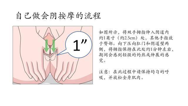 会阴最新研究与应用的最新进展综述