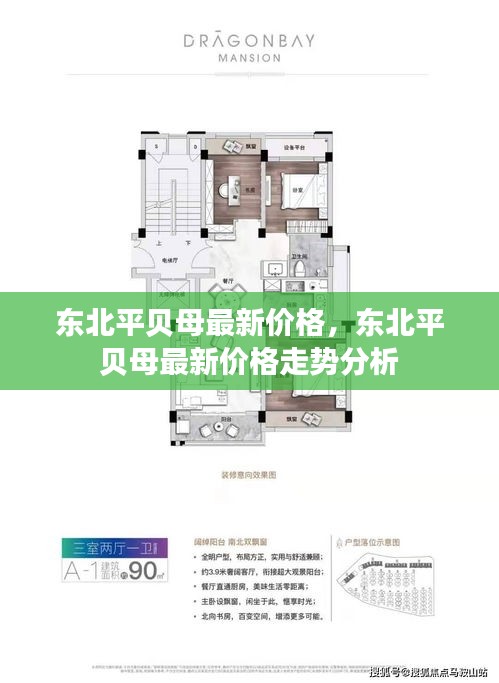 贝母最新研究成果揭秘