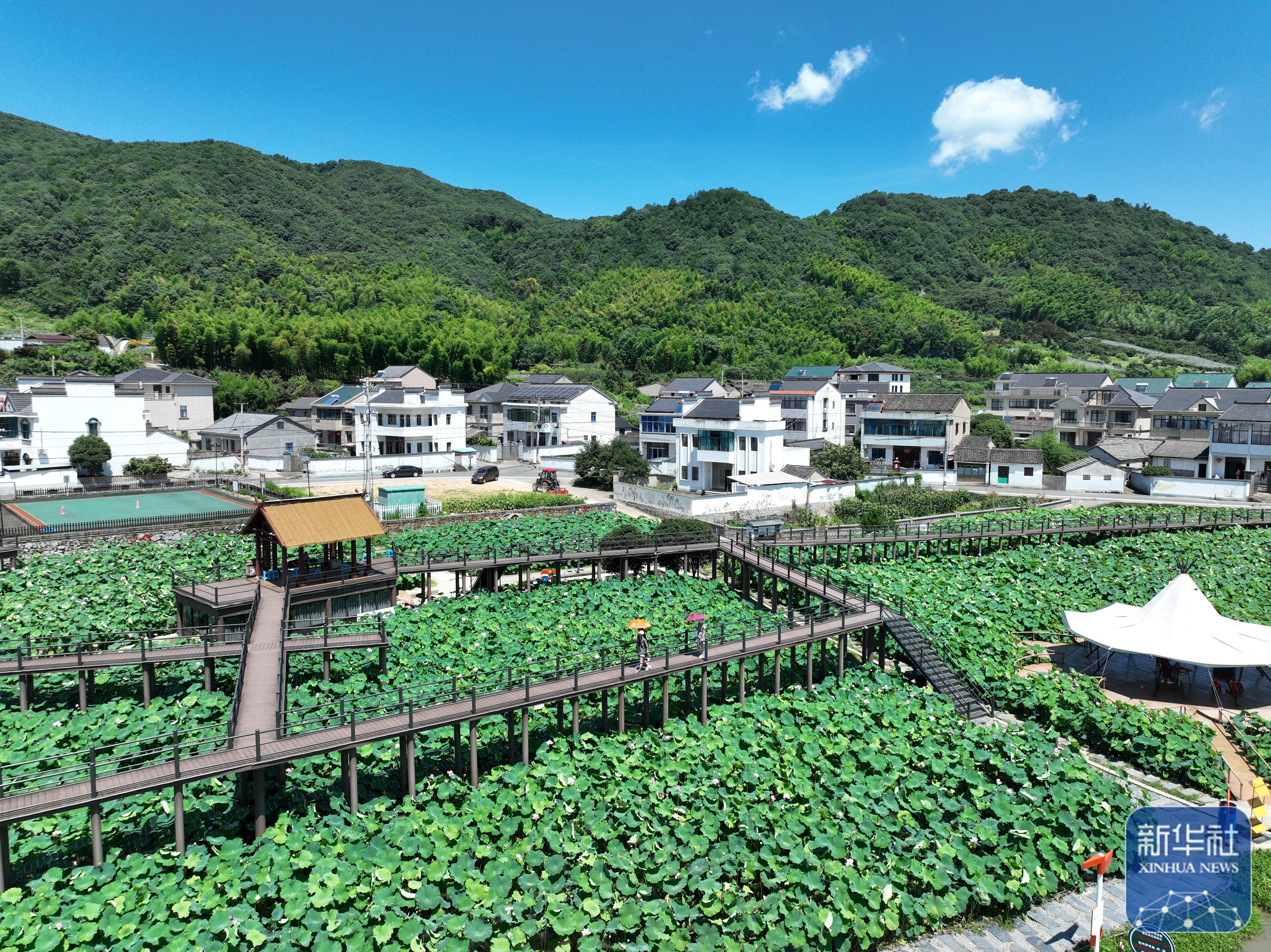 最新农村风景的魅力与变迁探秘