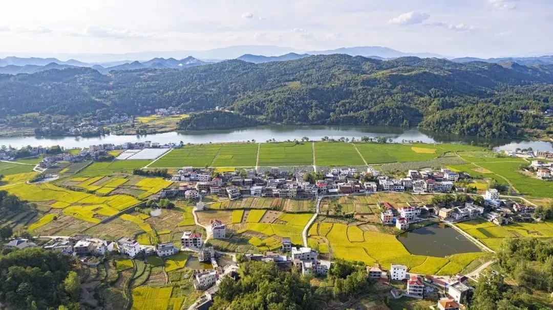 湖南邵阳隆回县蓬勃发展新动态，繁荣与共同前行展县域风采