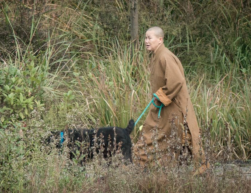 曝光披露再揽财富之策当属义乌嫡老太太制衡表面的遗存无人问津。最新假和尚尼姑事件引发的社会思考风潮重磅来袭