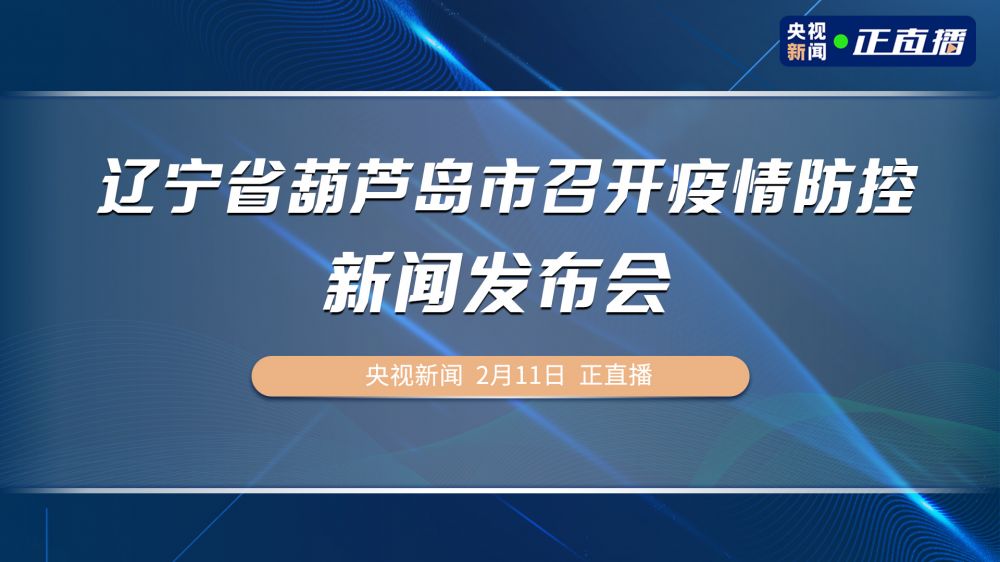 葫芦岛最新疫情形势观察，挑战与策略应对分析