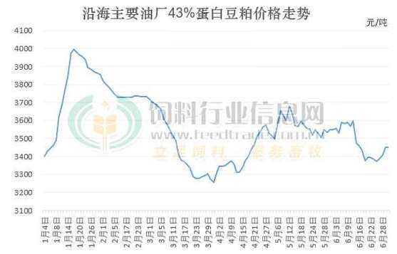 分析与展望