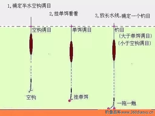 最新钓鱼技法探讨及其应用解析