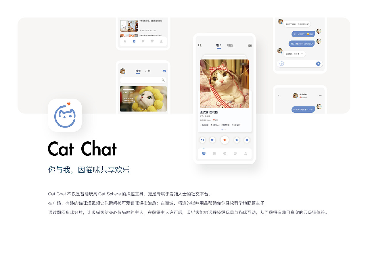 猫咪app破解版最新版深度探索与解析报告