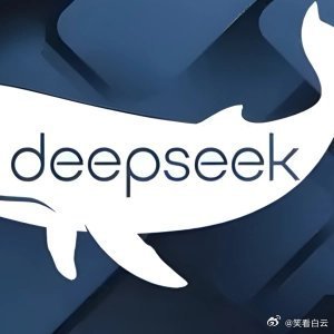 DeepSeek，寒假作业的智能助手探索