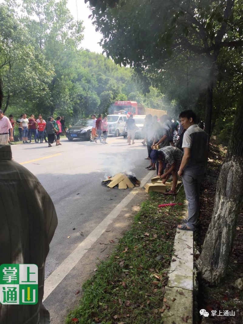 湖北通山车祸事件深度剖析