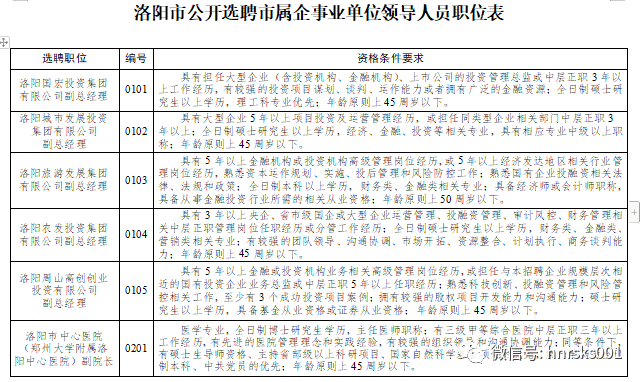 洛阳本地最新招聘信息概览与深度解析