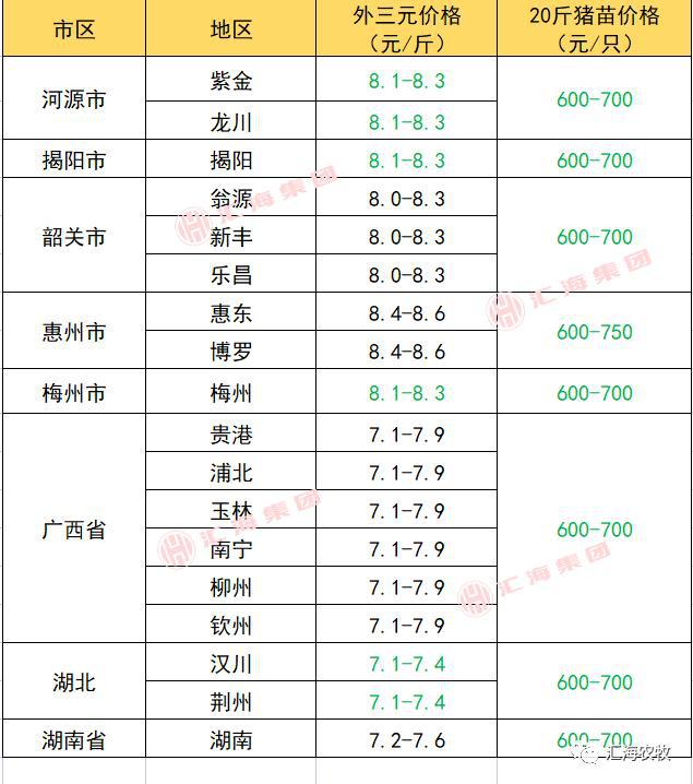 最新猪价格行情深度解析，市场走势、影响因素及预测